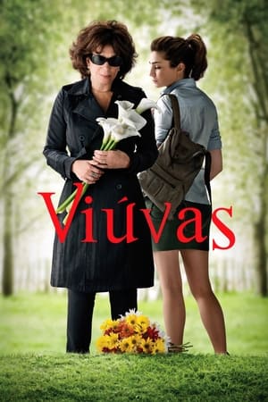 Poster Viúvas 2011