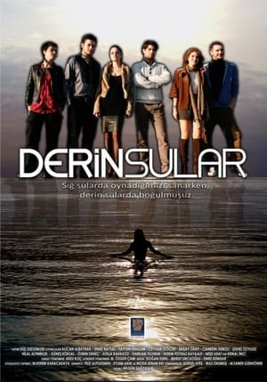 Poster Derin Sular 2011