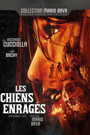 Poster Les chiens enragés  1974