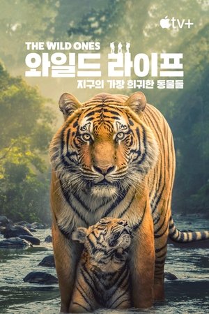 Image '와일드 라이프: 지구의 가장 희귀한 동물들' - The Wild Ones