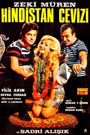 Poster Hindistan Cevizi (1967)