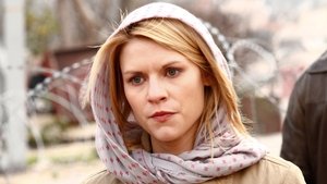 Homeland 1×1