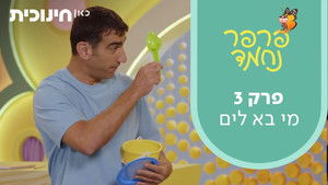 Who is coming to the beach? | StreamHub