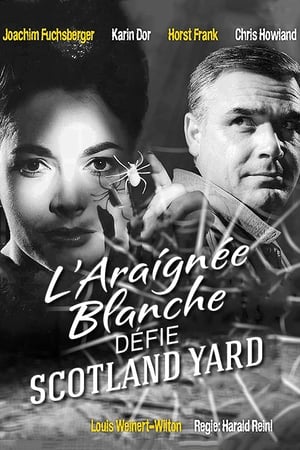 Image L'Araignée blanche défie Scotland Yard