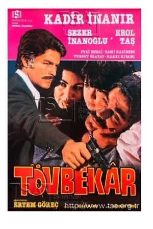 Tövbekar poster