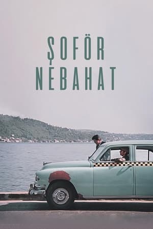 Image Nebahat The Driver