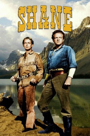 poster Shane