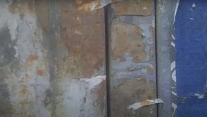 jardín interior [ micro- reino ]