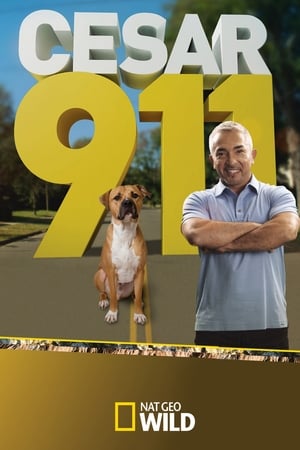 Cesar 911: Season 1