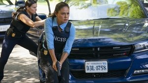 NCIS – Unità anticrimine 20×1