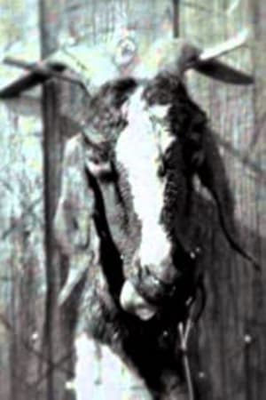 Poster Slipknot: Goat 2011