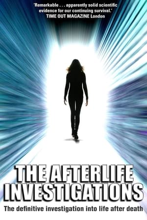 Poster The Afterlife Investigations 2011