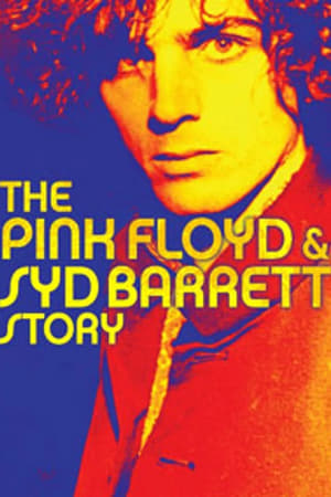 The Pink Floyd and Syd Barrett Story poster