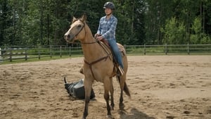 Heartland – Paradies für Pferde: 9×5