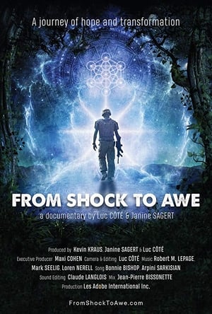 Poster From Shock to Awe (2018)