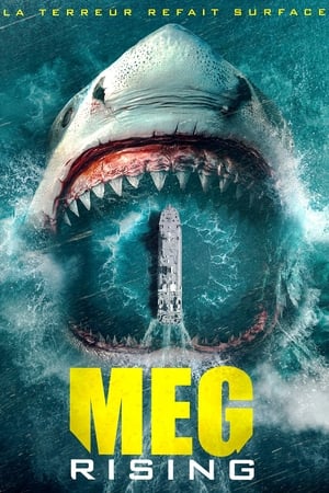 Poster Meg Rising 2021