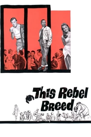 Poster This Rebel Breed (1960)