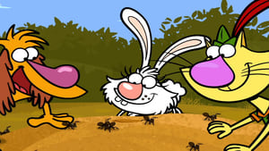 Nature Cat Ants Revolution