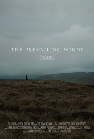 Image The Prevailing Winds
