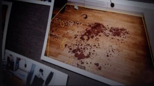 Traces in blood | StreamHub