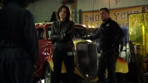 CSI: Crime Scene Investigation: 10×13