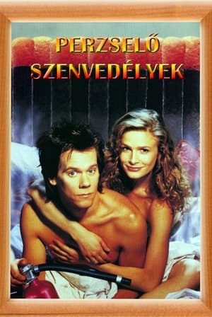 Poster Perzselő szenvedélyek 1991