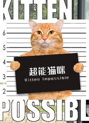 超能猫咪