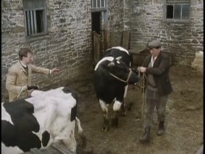 Der Doktor und das liebe Vieh: 4×3