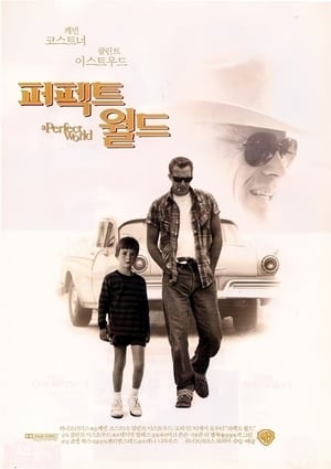 Poster 퍼펙트 월드 1993