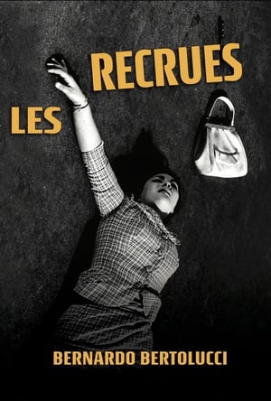 Poster Les Recrues 1962