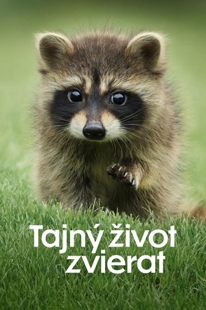 Image Tajný život zvierat