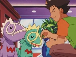 S04E48 Kecleon kleptomane