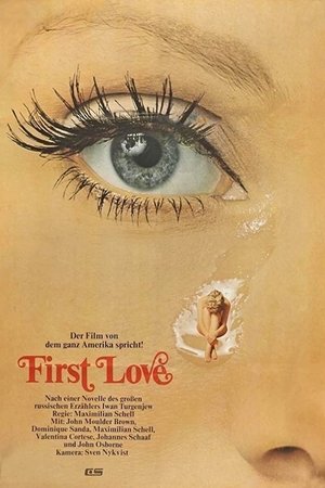 First Love poster