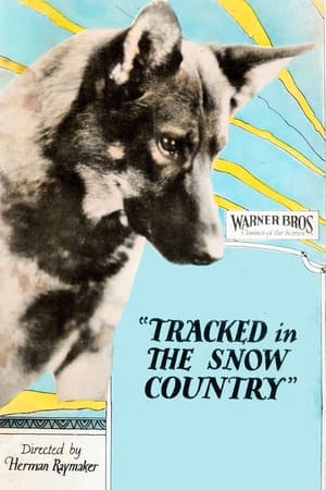 Poster Tracked in the Snow Country 1925
