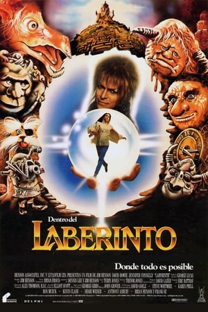 Poster Dentro del laberinto 1986