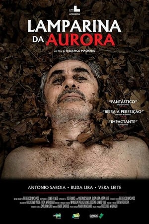 Poster Lamparina da Aurora 2017