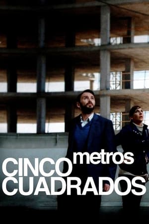 Poster 5 metros cuadrados 2011