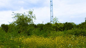 Two-Thousand and Three