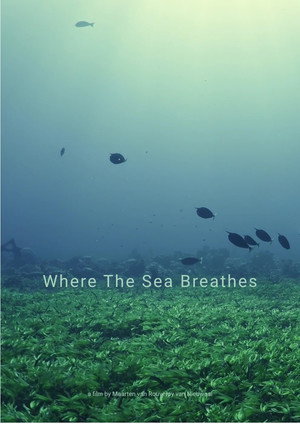 Where The Sea Breathes