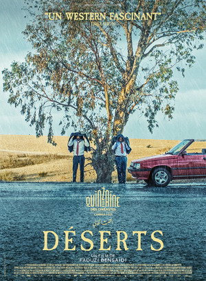 Deserts 12