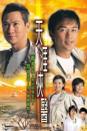 Poster 天涯俠醫 2004