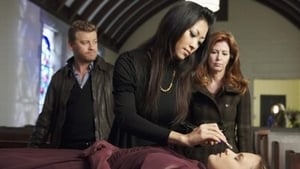 Body of Proof: 1×9