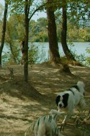Hundestrand Nord