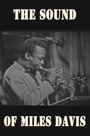 Image The Sound of Miles Davis