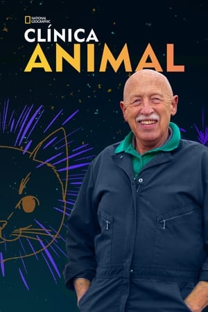 O Incrível Dr. Pol: Temporada 20