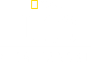 Tucci en Italia — Logos 10