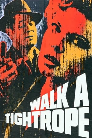 Poster Walk a Tightrope (1964)