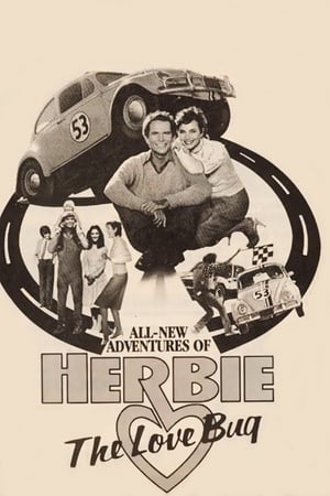 Herbie, the Love Bug poster