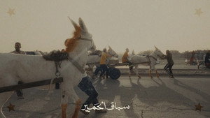 Donkey Race