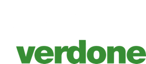Grande, grosso e... Verdone — Logos 1
